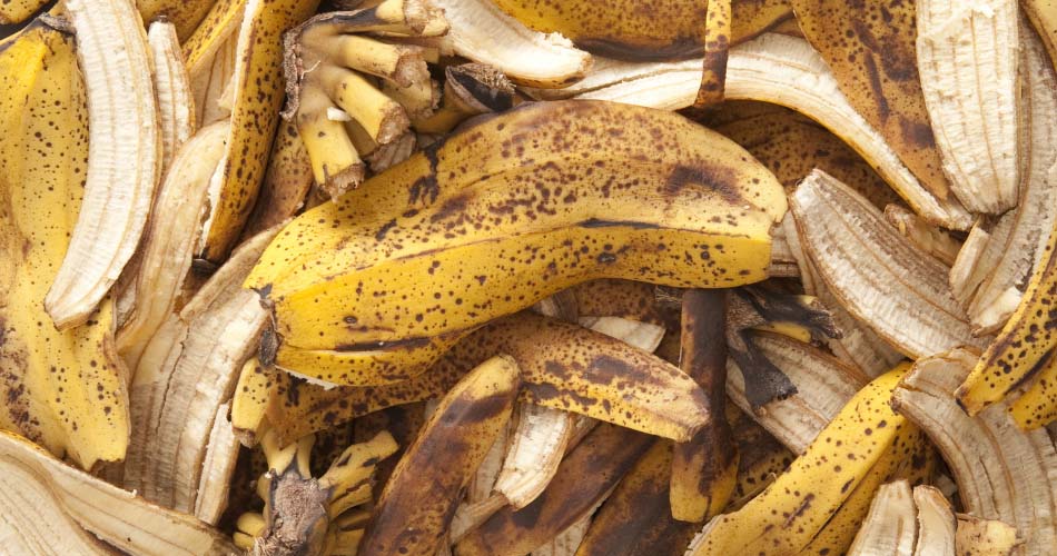 Banana peels, kitchen scrap