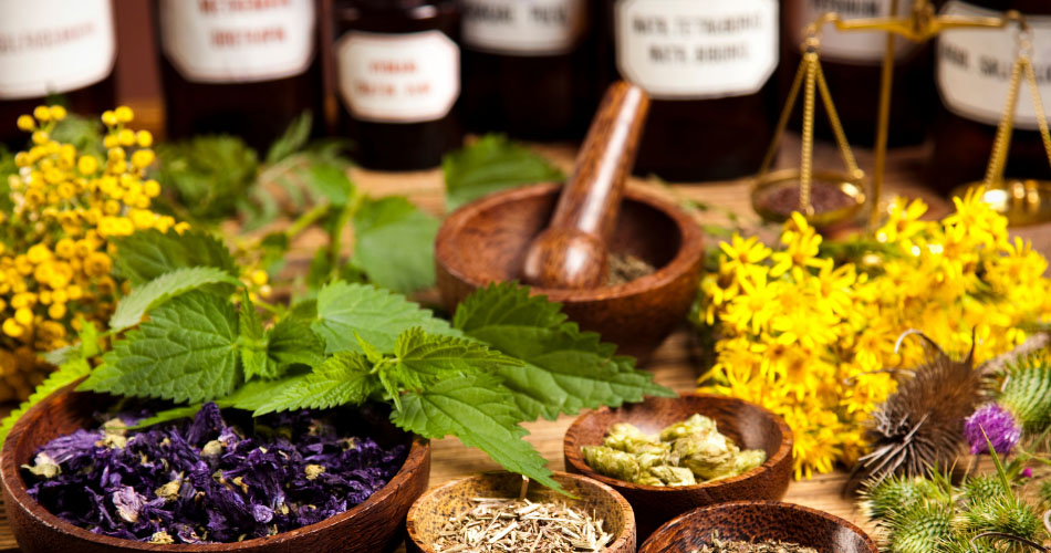 7 Myths About Herbal Medicine